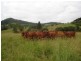 Langshaw QLD 4570