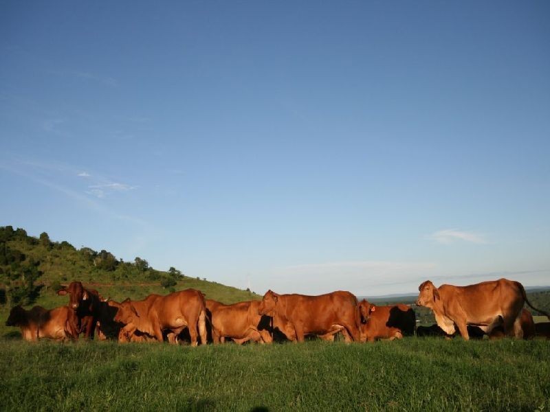 Goomboorian QLD 4570