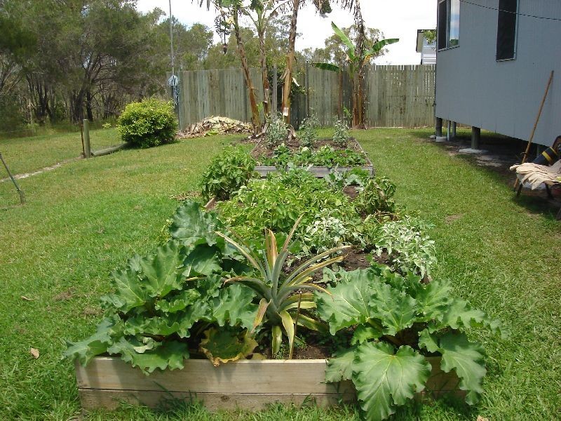 Cooloola Cove QLD 4580