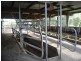 Theebine QLD 4570
