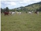 Theebine QLD 4570