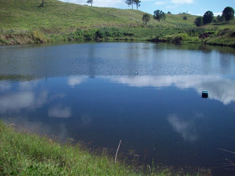 Mooloo QLD 4570
