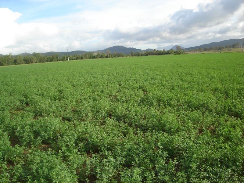 Lower Wonga QLD 4570