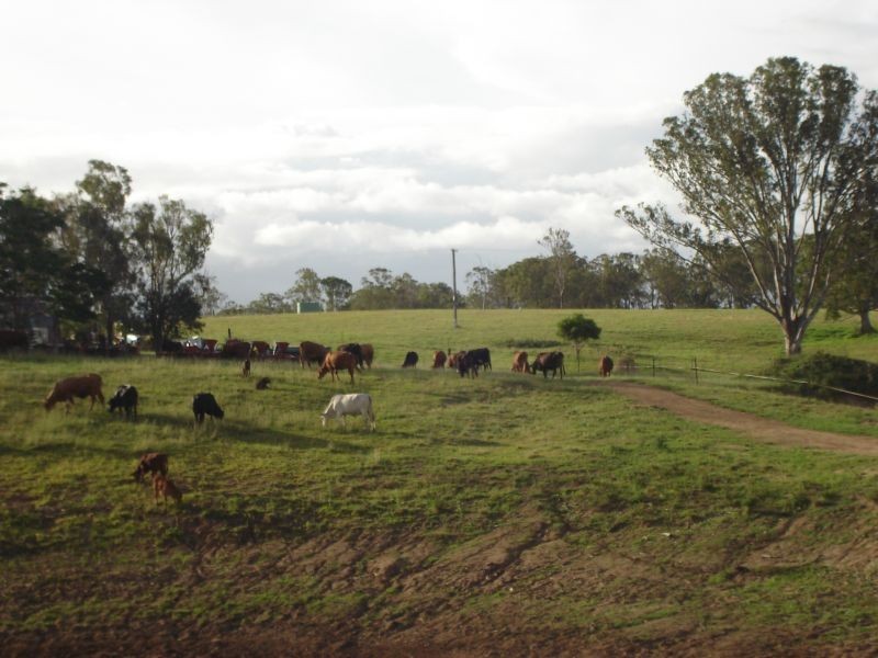 Lower Wonga QLD 4570