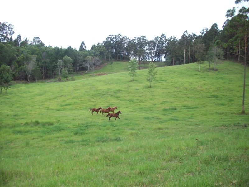 Veteran QLD 4570
