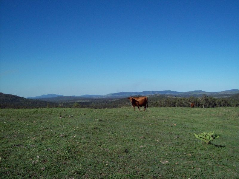 Lower Wonga QLD 4570