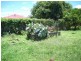 Gympie QLD 4570