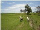 Victory Heights QLD 4570