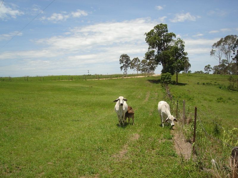Victory Heights QLD 4570