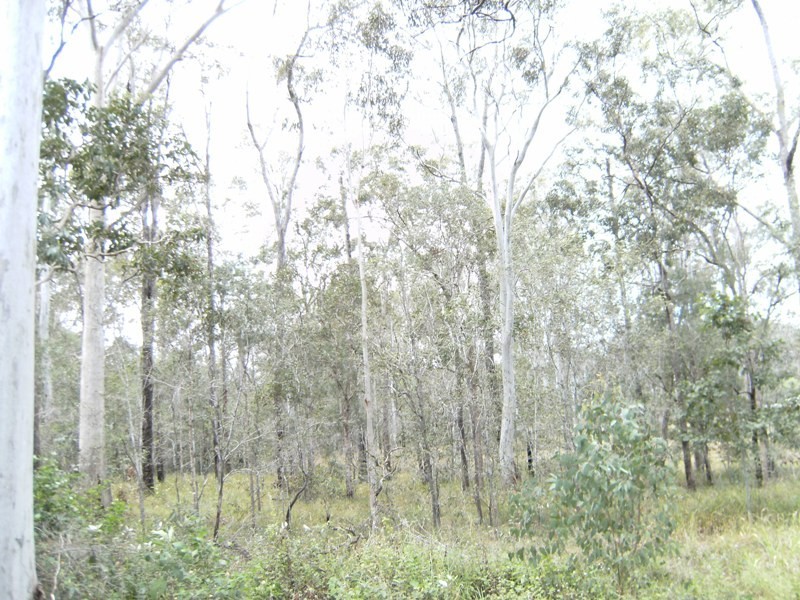 Wolvi QLD 4570