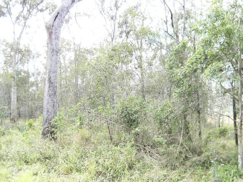 Wolvi QLD 4570