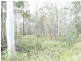 Wolvi QLD 4570