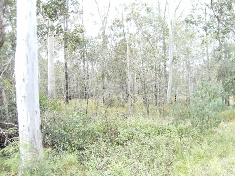 Wolvi QLD 4570