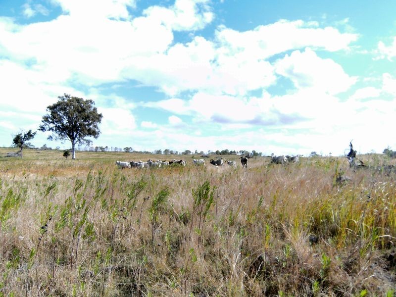 Glenwood QLD 4570