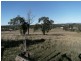 Two Mile QLD 4570