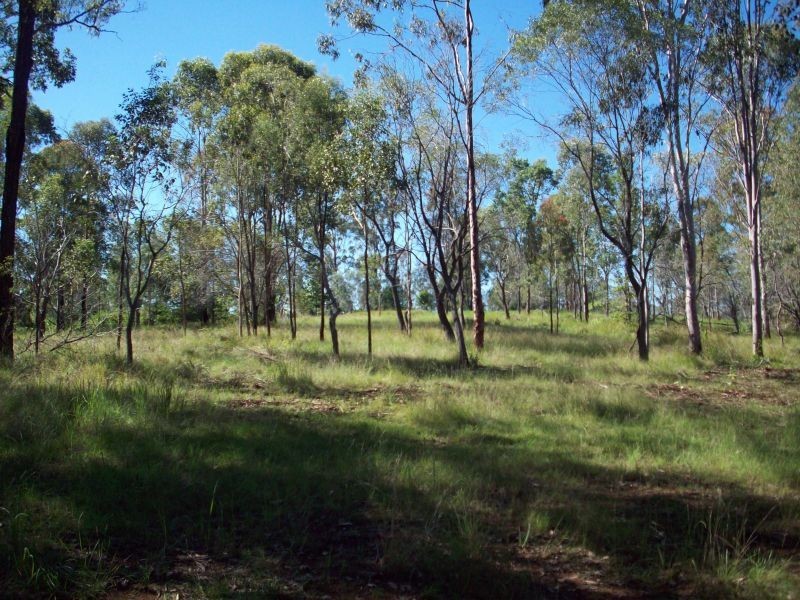 Paterson QLD 4570