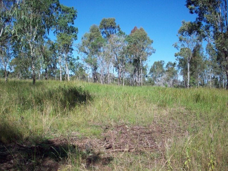 Paterson QLD 4570