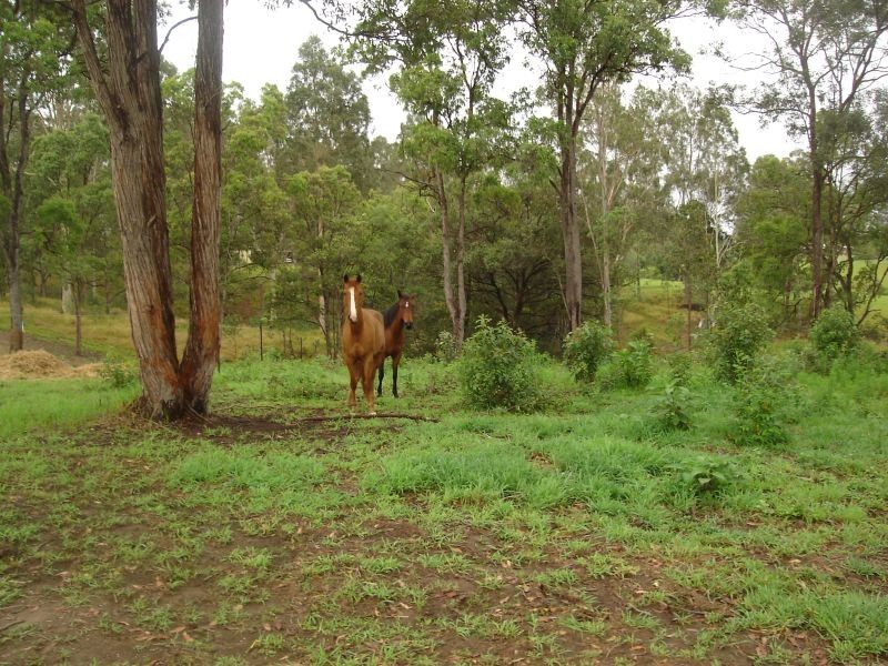 Gympie QLD 4570