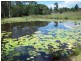 Victory Heights QLD 4570