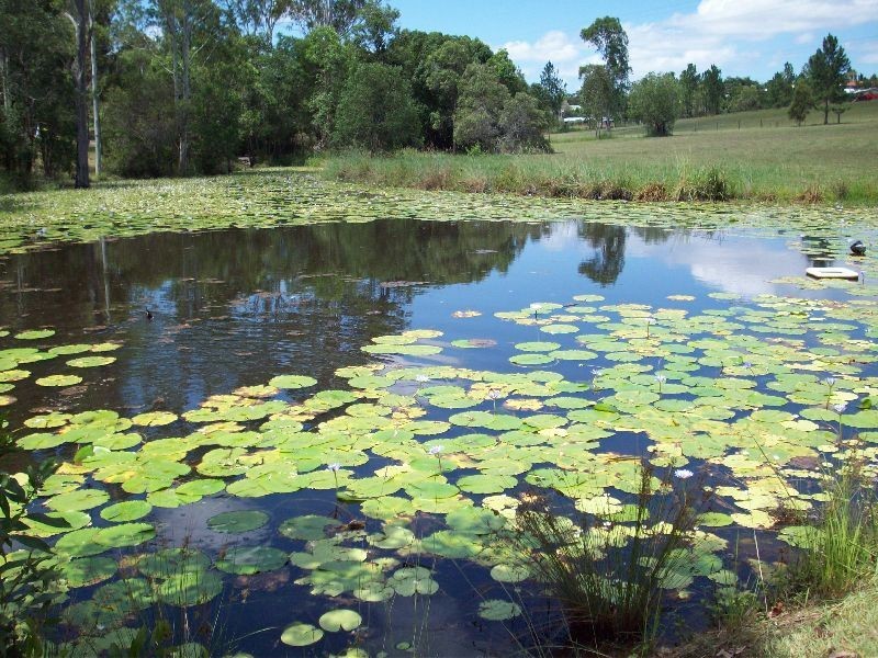 Victory Heights QLD 4570