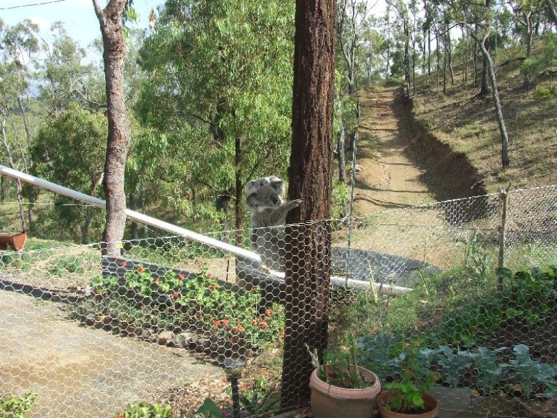 Kilkivan QLD 4600