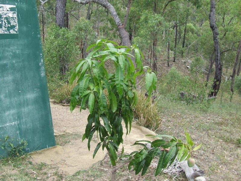 Kilkivan QLD 4600