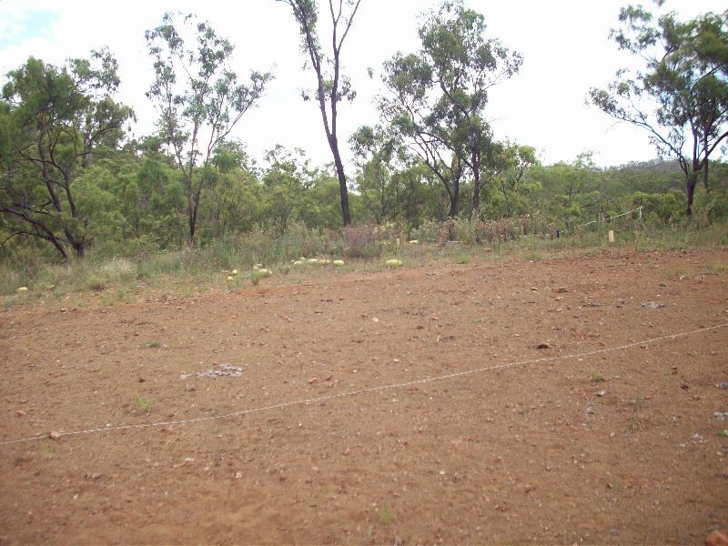 Kilkivan QLD 4600
