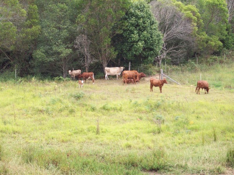 North Deep Creek QLD 4570