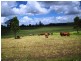 Glenwood QLD 4570