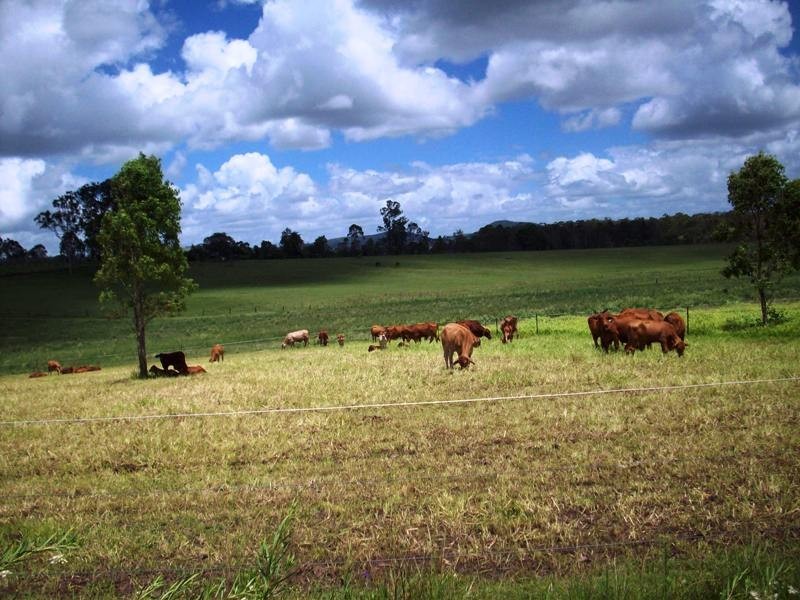 Glenwood QLD 4570