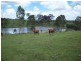 Glenwood QLD 4570