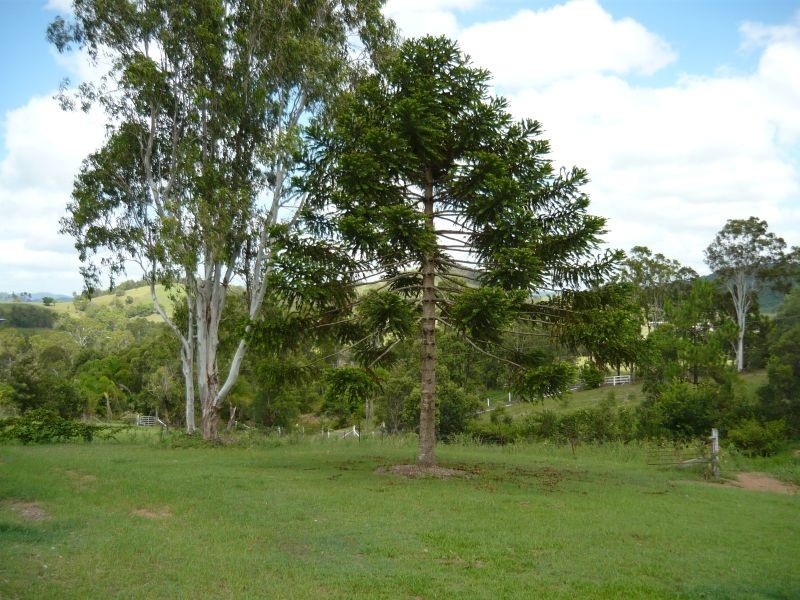 Calico Creek QLD 4570