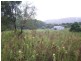 Wilsons Pocket QLD 4570