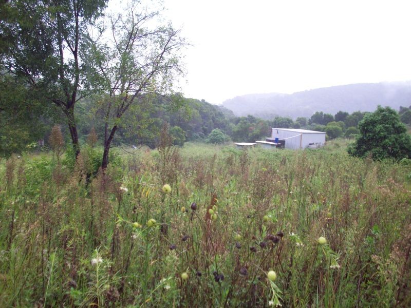Wilsons Pocket QLD 4570