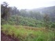 Wilsons Pocket QLD 4570