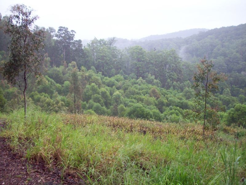 Wilsons Pocket QLD 4570