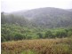 Wilsons Pocket QLD 4570