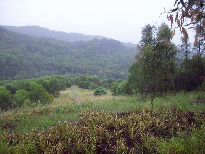 Wilsons Pocket QLD 4570