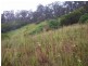 Wilsons Pocket QLD 4570