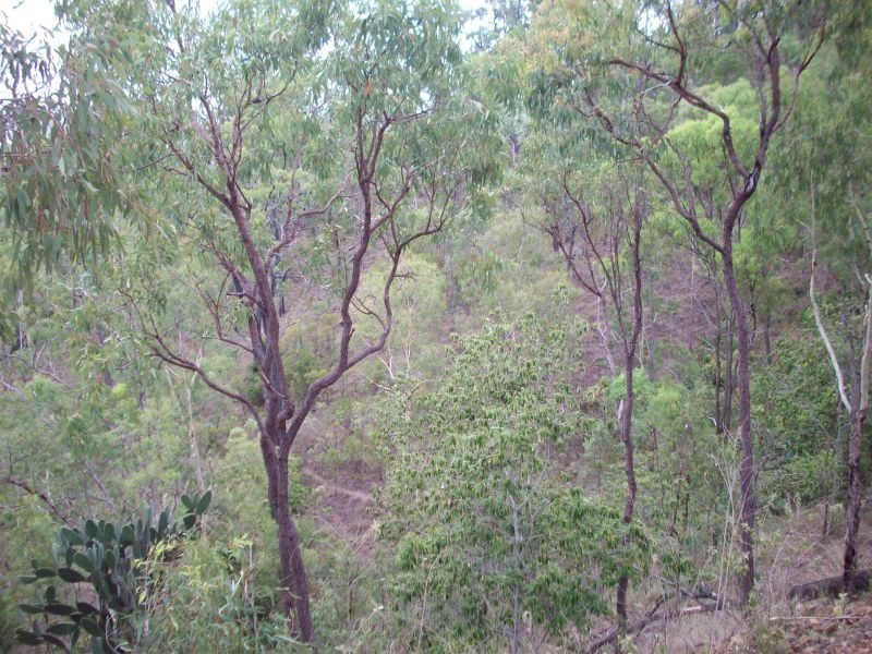 Kilkivan QLD 4600