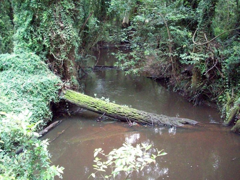 Wolvi QLD 4570