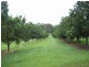 Wolvi QLD 4570