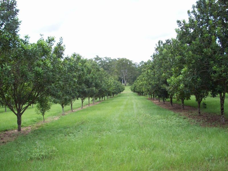 Wolvi QLD 4570