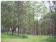 Wolvi QLD 4570