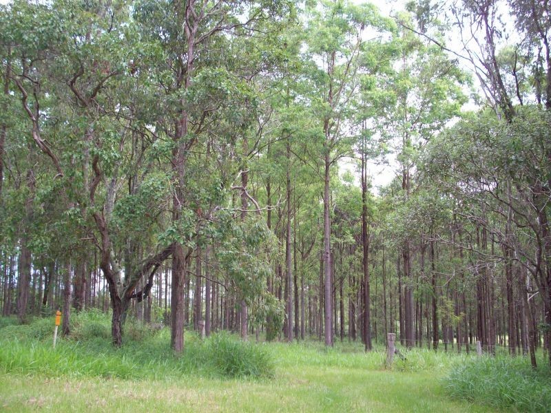 Wolvi QLD 4570