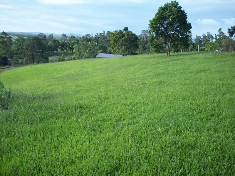 The Dawn QLD 4570