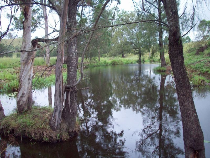 Mudlo QLD 4600