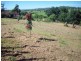 Monkland QLD 4570