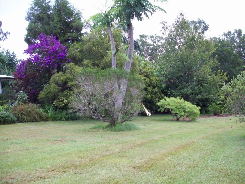 Wolvi QLD 4570