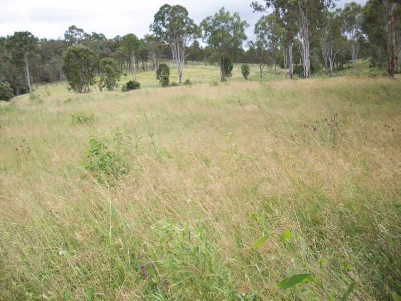 Sexton QLD 4570